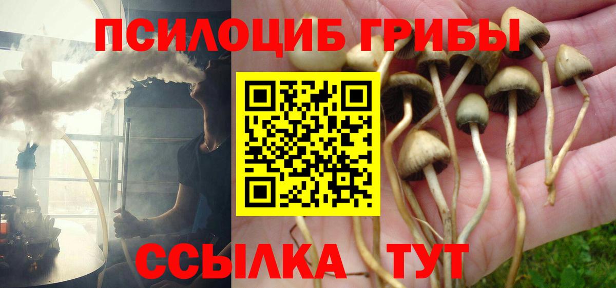 Галлюциногенные грибы GOLDEN TEACHER  магазин продажи наркотиков  Абинск  Псилоцибиновые грибы Psilocybe  Вход с VPN 